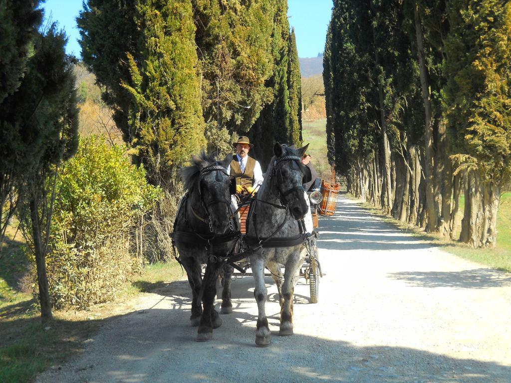 Albergo Giovanni Da Verrazzano Greve in Chianti Luaran gambar